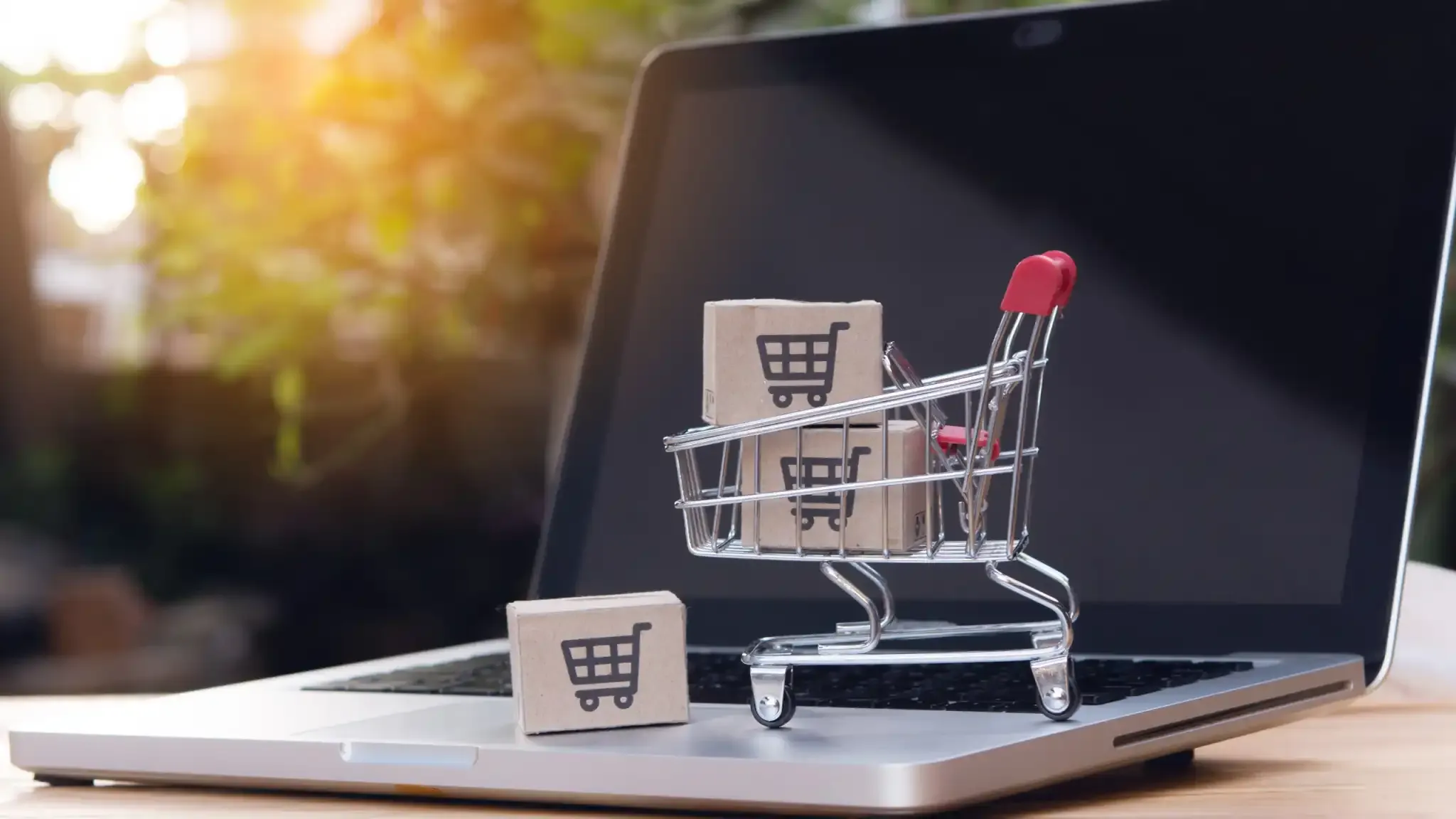 Mini-shopping-cart-with-model-packages-on-a-laptop-1