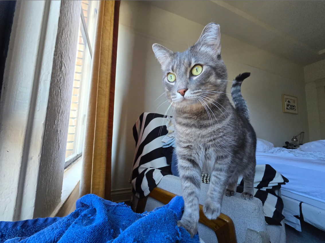 Screenshot 2025-11-13 083434