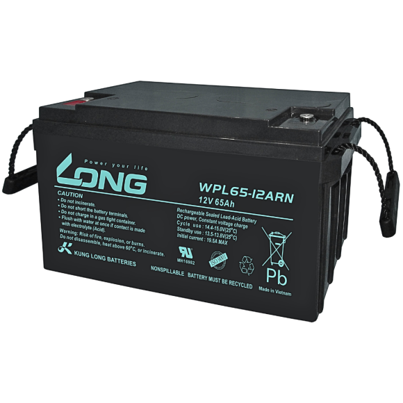 ac-quy-kin-khi-vrla-agm-long-12v-65ah-20hr-wpl65-12arn-f8-m6-s231102940