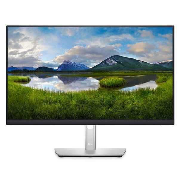 dell-lcd-p2422h-238-inch-full-hd-121122-121210-600x600