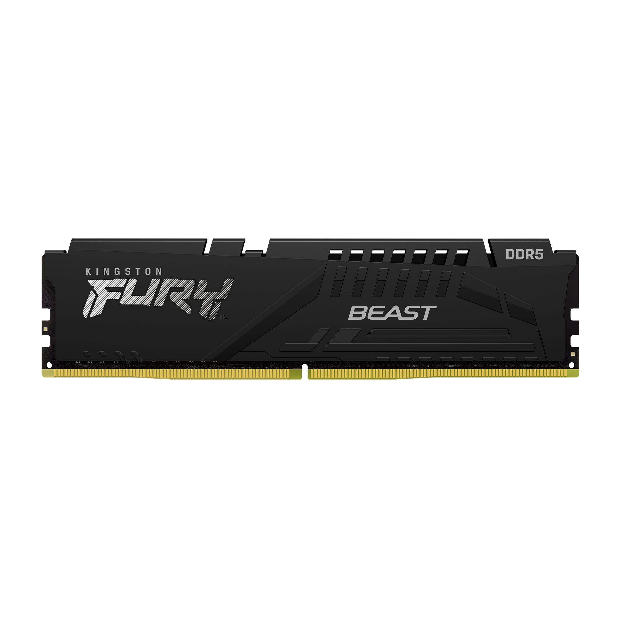52116_39739_ktc_product_memory_beast_ddr5_single_1_zm_lg