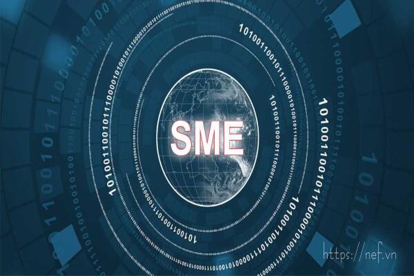 Cần những chính sách gì để giúp SMEs “bứt tốsc” trong thời đại số?