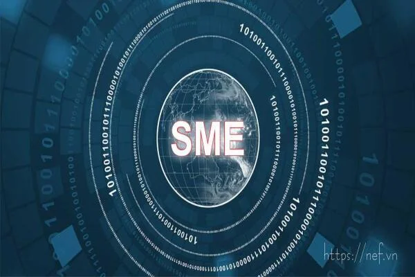 Cần những chính sách gì để giúp SMEs “bứt tốc” trong thời đại số?