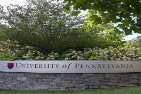 Cả Musk và Trump đều từng học tại Đại học Pennsylvania — và giờ tài khoản của họ đã bị hack bởi một người có thiện cảm với lý tưởng của cả hai.