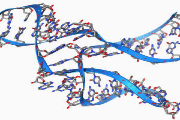 RNA nhỏ bé, dài 45 base, có khả năng tự sao chép.