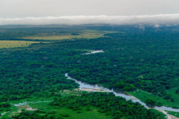 Dịch COVID-19 đã làm bầu trời trong xanh hơn nhưng cũng làm gia tăng mạnh lượng khí thải metan.