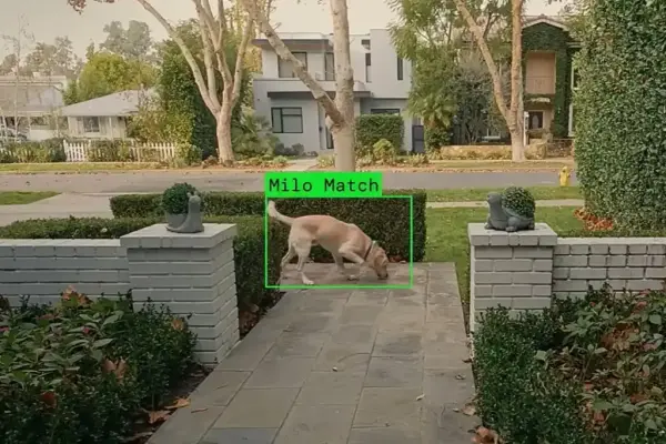 Vì sao quảng cáo Super Bowl của Ring lại gây cảm giác rùng rợn