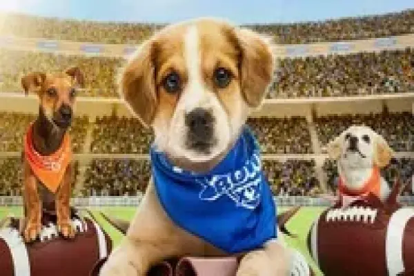 Puppy Bowl 2026 — Cách xem và lịch phát sóng