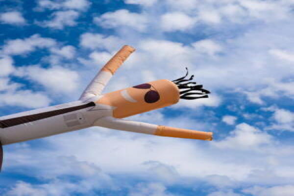 Tôi làm việc hai ngày tại RentAHuman mà không kiếm được một xu nào.