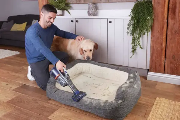 Dưới đây là các ưu đãi dọn dẹp mùa xuân yêu thích của chúng tôi từ Chương trình giảm giá mùa xuân lớn của Amazon