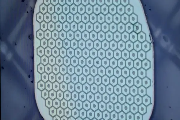 Công ty AI xác nhận đã báo cáo mô hình mới với chính quyền MỹStartup chuẩn bị cấy cảm biến đầu tiên vào não người