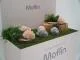 moflin_01_o
