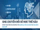 Từ thủ công đến tự động: Làm thế nào SMEs có thể bắt đầu hành trình tự động hóa mà không bị “vỡ quy trình”?