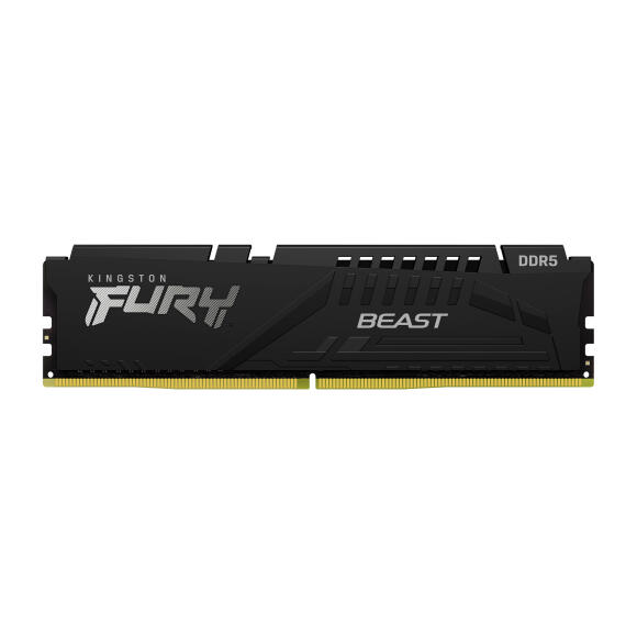 52116_39739_ktc_product_memory_beast_ddr5_single_1_zm_lg