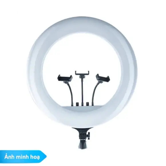 den-livetream-45cm