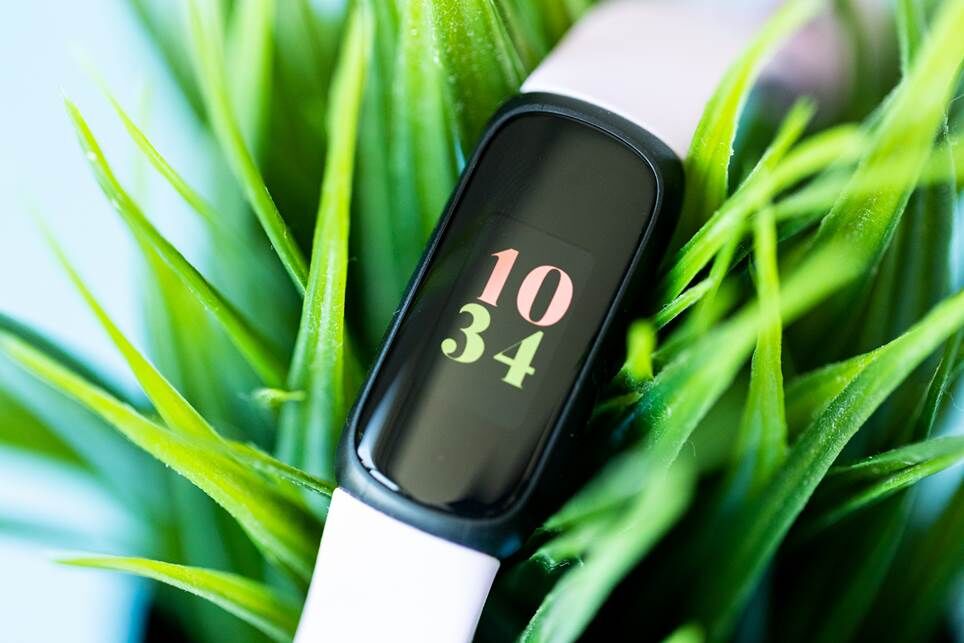 Cận cảnh màn hình Fitbit Inspire 3. Fitbit đang nằm trên một cây xanh tươi tốt.