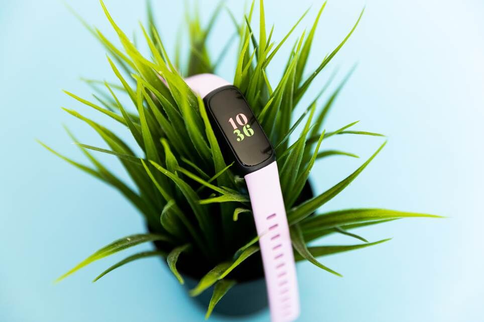 Fitbit Inspire 3 trên đỉnh một cây