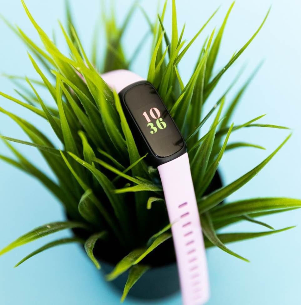 Fitbit Inspire 3 trên đỉnh một cây
