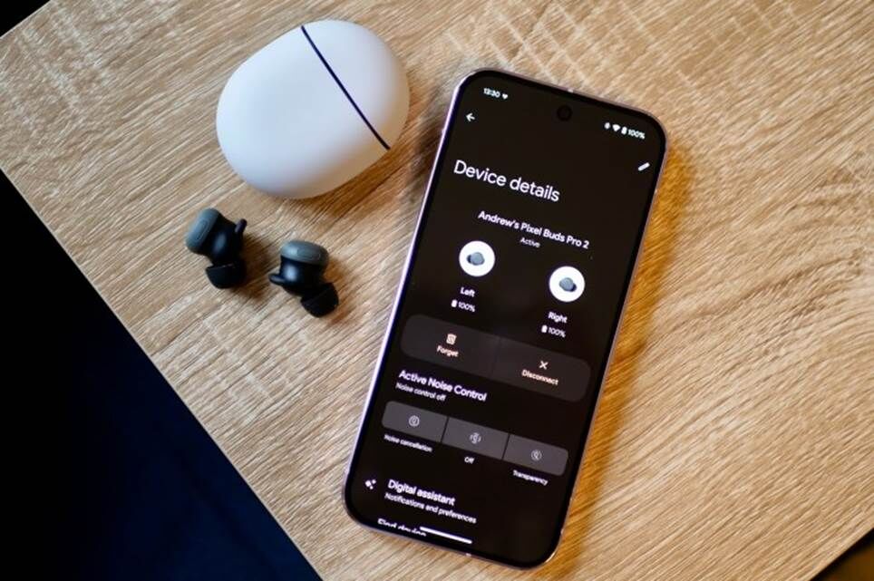 Google Pixel 9 Pro và Google Pixel Buds Pro 2.
